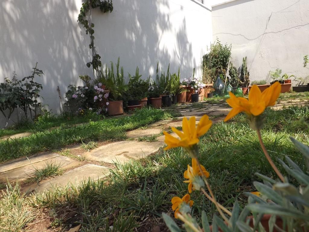 Araucaria Bed and Breakfast Torre San Giovanni Buitenkant foto